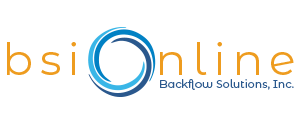BSI Online Logo