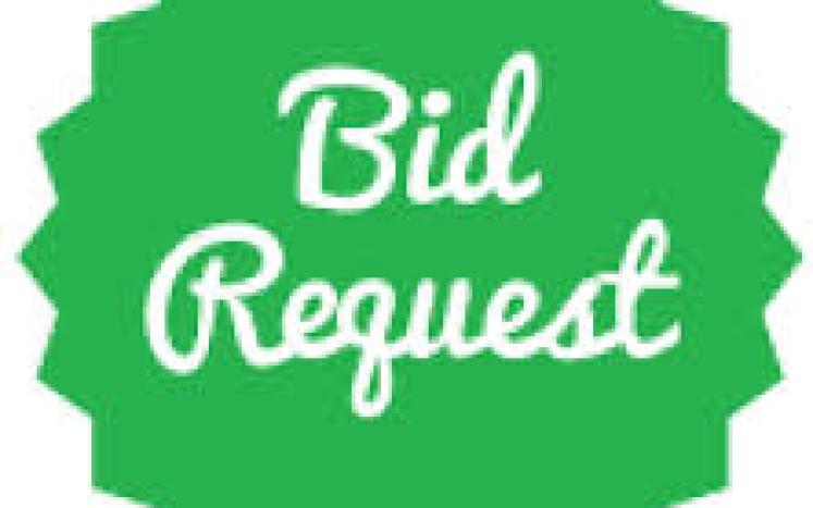 Bid Request